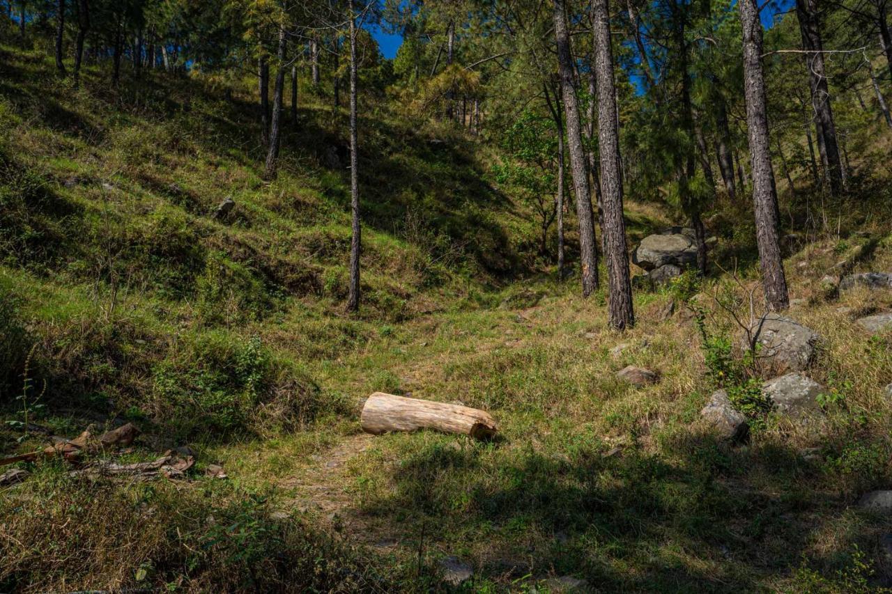 Stayvista At Floradale W Jacuzzi & Wood-Fire Pizza Kasauli Eksteriør billede
